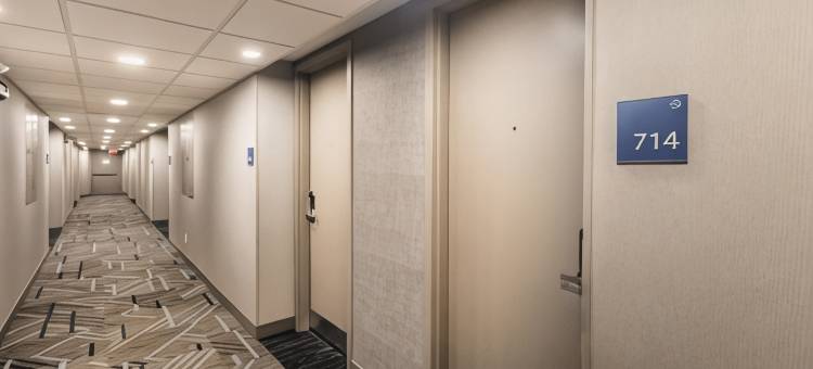Holiday Inn Express 多伦多北约克(Holiday Inn Express TORONTO-NORTH YORK by IHG)图片