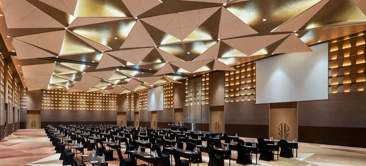芝卡朗努安扎会议酒店(Nuanza Hotel & Convention Cikarang)图片