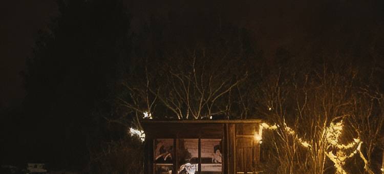 傅鲁旅舍(Furu Hostel & Café)图片