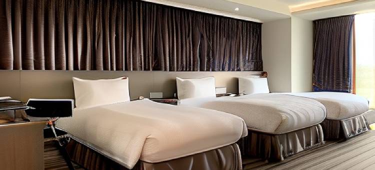 嘉义德尔芙快捷酒店图片