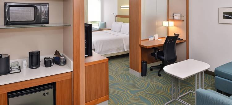 罗利卡瑞SpringHill Suites 酒店(SpringHill Suites Raleigh Cary)图片