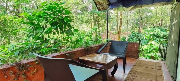 格拉斯鲁特斯韦扬纳德，山谷观景帐篷(Grassroots Wayanad, Valley-View Tents)图片