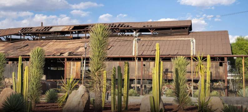 阿瓜斯卡连特斯假日酒店及套房(Holiday Inn & Suites AGUASCALIENTES by IHG)图片