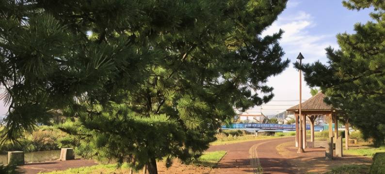 多摩酒店(Tama Hotel)图片