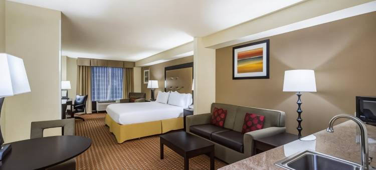 智选假日套房酒店东北镇(Holiday Inn Express & Suites North East)图片