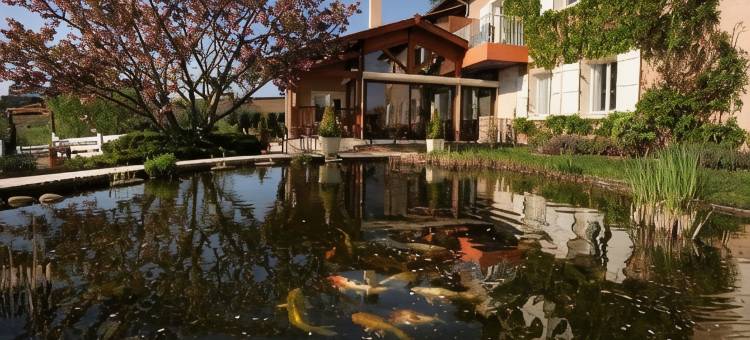 伟大葡萄酒酒店(Logis Hotel des Grands Vins)图片