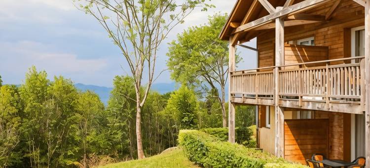 依云卢格林村公园套房公寓(Garden & City Evian - Lugrin)图片