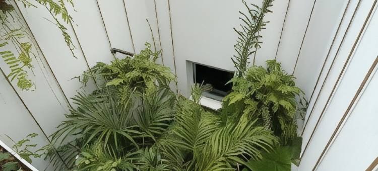 嗨标志套房酒店(Hotel Emblemático Hi Suites)图片