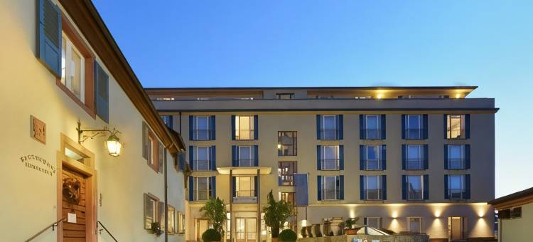 施奇恩酒店(Hotel Hirschen in Freiburg-Lehen)图片
