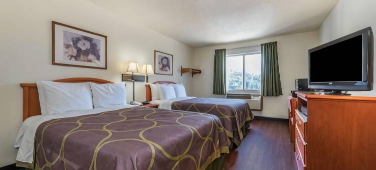 登顿速8酒店(Super 8 by Wyndham Denton)图片