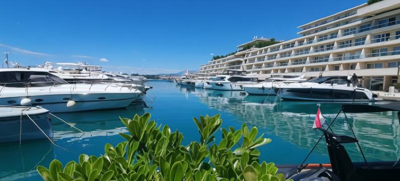 SmartStay 约翰尼(SmartStay Johnny)图片