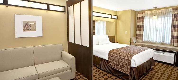 卡特斯维尔麦客达套房酒店(Microtel Inn & Suites by Wyndham Cartersville)图片