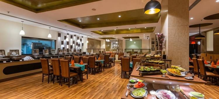 温德姆华美达尼姆拉纳酒店(Ramada by Wyndham Neemrana)图片