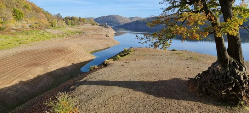 Modern, bright apartment in Waldeck - Höringhausen图片