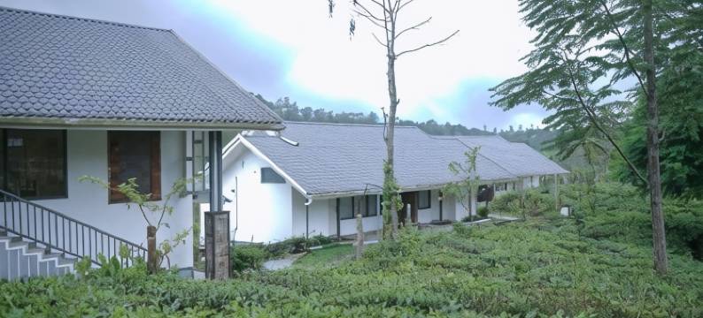 Pekoe Plantation Cottages by LexStays图片