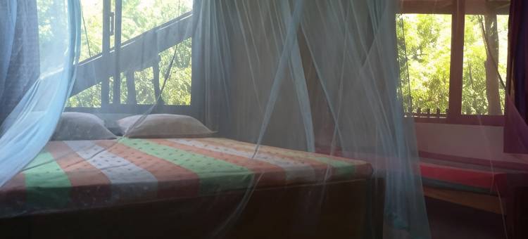 灯塔海滩小屋(Light House Beach Hut)图片