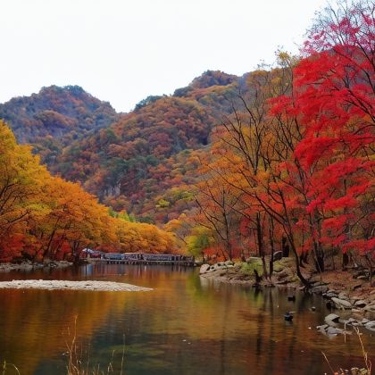 本溪老边沟风景区+望天洞4日3晚私家团