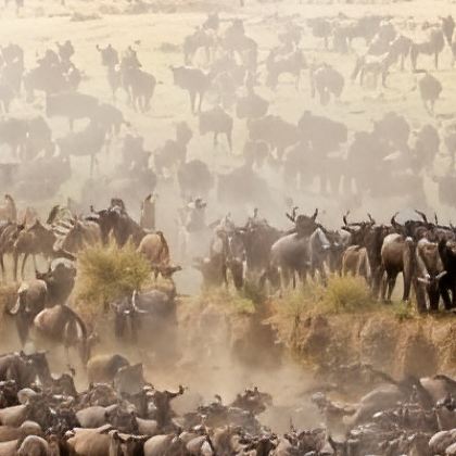 南非+肯尼亚+津巴布韦+赞比亚15日跟团游