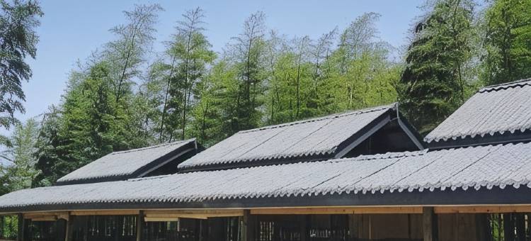 豫洲苑民宿图片