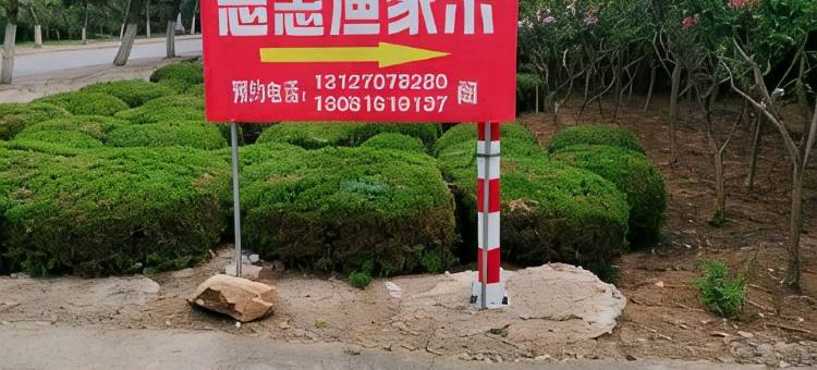养马岛恩慧渔家乐图片