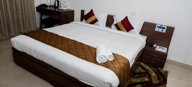 阿尔特鲁伊斯特科帕卡拉内酒店(The Altruist Koparkhairane Hotel)图片
