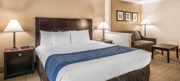 舒适套房酒店-近迪兰大学(Comfort Inn & Suites DeLand - Near University)图片