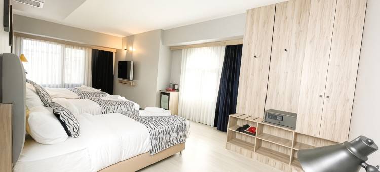 Center Inn Hotel Maltepe Istanbul图片