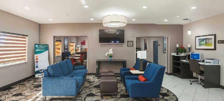 舒适套房酒店-李维斯维尔(Comfort Suites Lewisville)图片