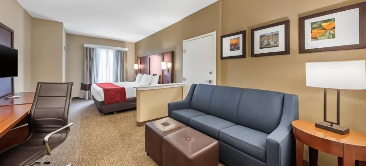 巴斯托I-15附近舒适套房酒店(Comfort Suites Barstow Near I-15)图片