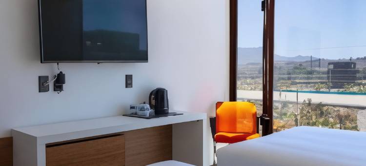 瓦勒纳尔罗斯奥利弗丽柏酒店(Park Inn by Radisson Los Olivos de Vallenar)图片