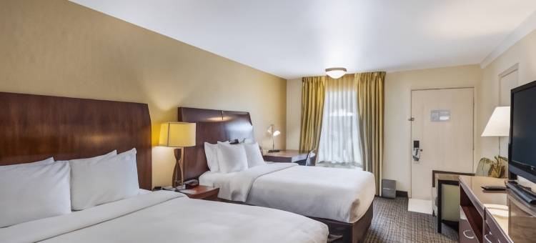 克拉丽奥酒店及套房-中央清水海滩(Clarion Inn & Suites Central Clearwater Beach)图片