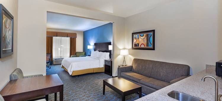 弗洛里斯维尔智选假日套房酒店(Holiday Inn Express & Suites FLORESVILLE by IHG)图片