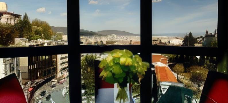 普林西斯弗罗尔酒店(Hôtel Princesse Flore)图片