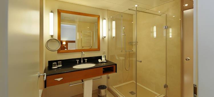 洛桑和平酒店(Hôtel de la Paix Lausanne)图片