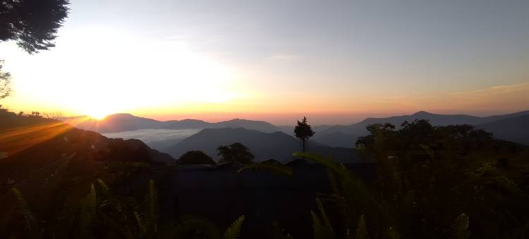 Hotel O Home Heritage Homestay图片