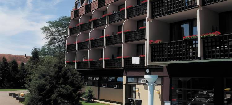 恩萨纳温泉沙尔堡酒店(Ensana Thermal Sárvár)图片