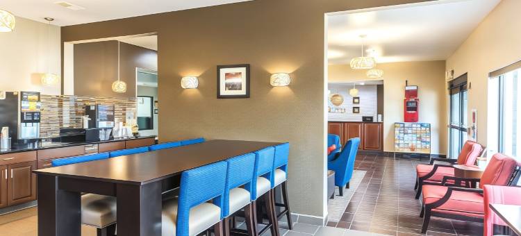 北奥罗拉-内珀维尔舒适套房酒店(Comfort Inn & Suites North Aurora - Naperville)图片