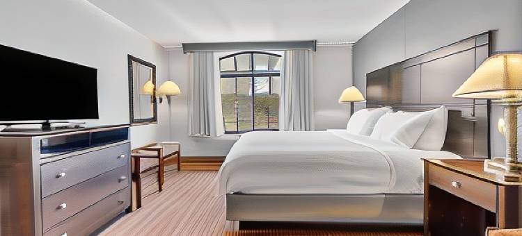 Wingate by Wyndham State Arena Raleigh/Cary图片