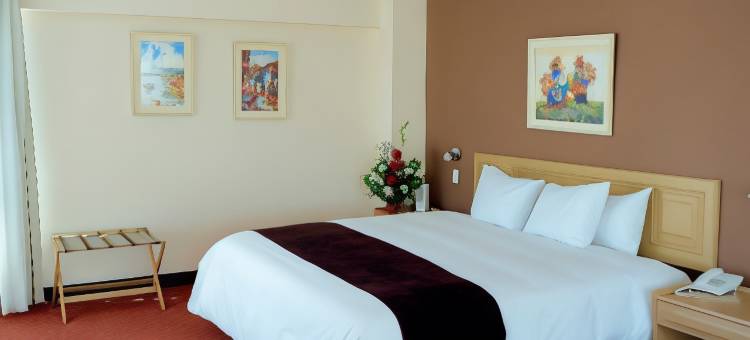 何塞安东尼奥普诺酒店(Hotel Jose Antonio Puno)图片