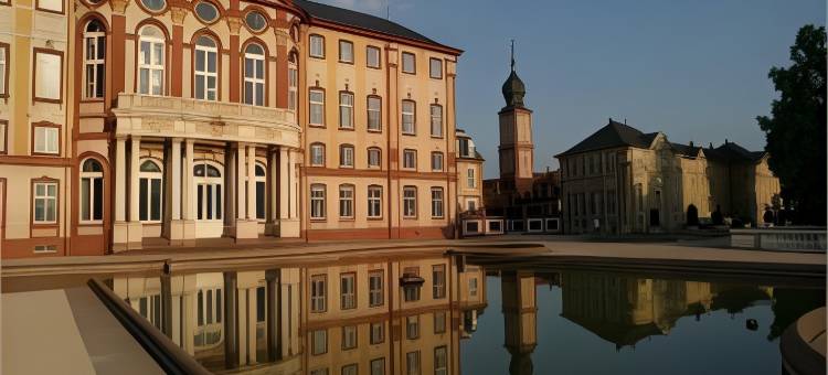 布鲁赫萨尔广场酒店(PLAZA Hotel Bruchsal)图片