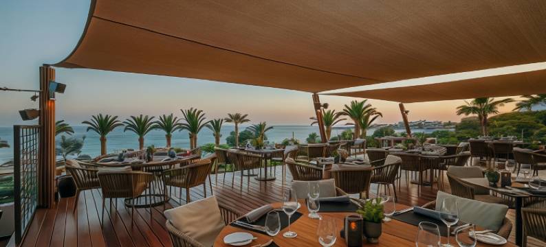 阿里恩海滩酒店(Alion Beach Hotel)图片