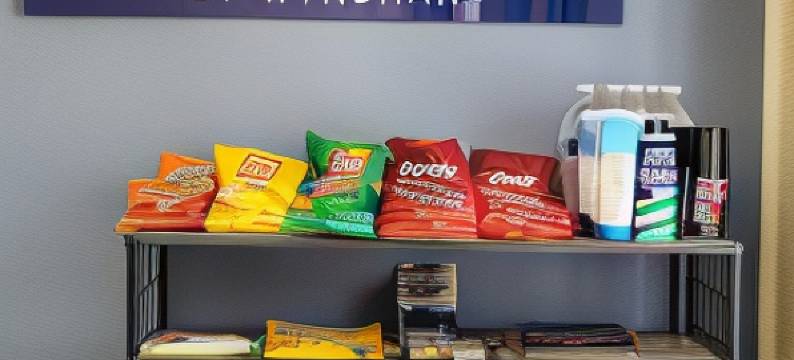 布雷登顿I-75温德姆戴斯酒店(Days Inn by Wyndham Bradenton I-75)图片