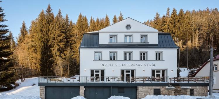 奥尔利克酒店(Hotel Orlík)图片
