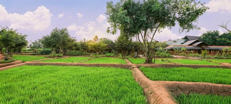 Ayurvie Sigiriya - Ayurvedic Retreat by Thema Collection图片