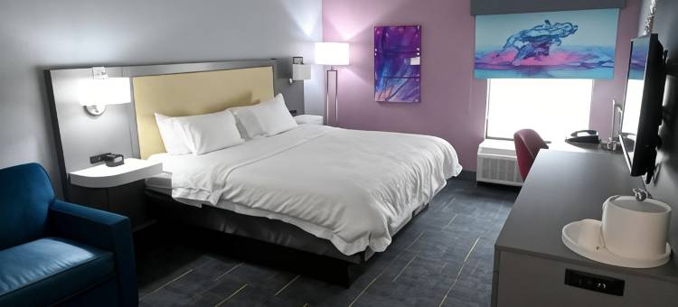 瓦尔多斯塔/莱克帕克区希尔顿欢朋酒店(Hampton Inn Valdosta/Lake Park Area)图片