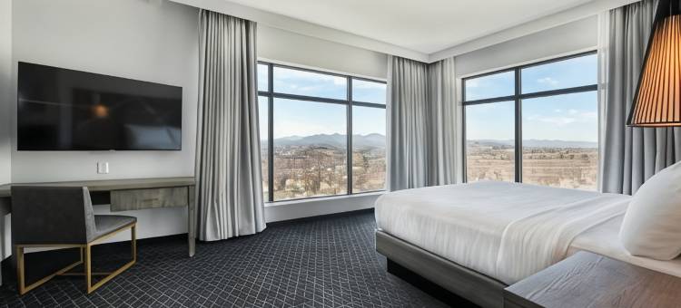 希尔顿使馆套房阿什维尔市中心(Embassy Suites by Hilton Asheville Downtown)图片