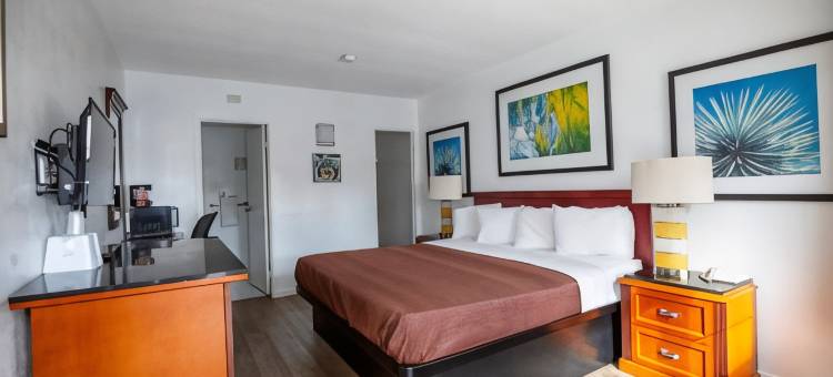 奇科美洲最佳价值酒店(Americas Best Value Inn Chico)图片