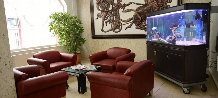 索丹酒店(soydan hotel)图片