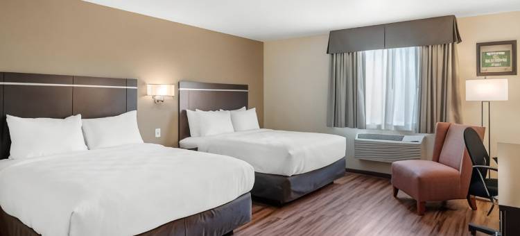 伊克诺套房旅馆(Econo Lodge Inn & Suites)图片