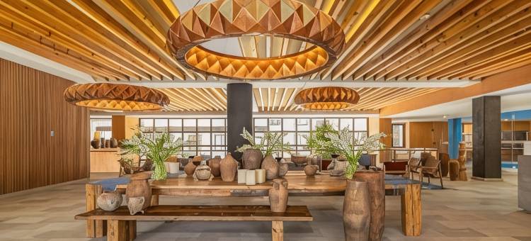 克莱维亚，圣米格尔-德阿连德，傲途格精选(Cleviá, Autograph Collection, San Miguel de Allende)图片